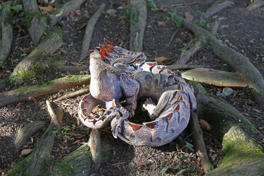 Roterdrache